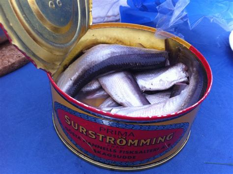 the stinkiest fish in the world|What is Surströmming and how to eat this smelly fish